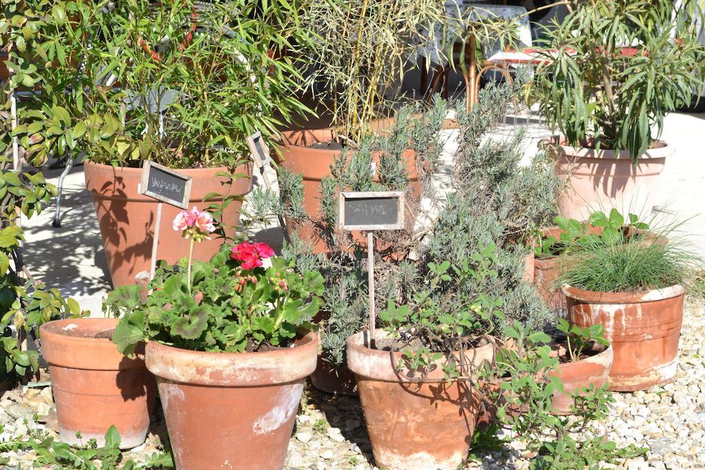 La Locanda Di Valbella Asti Zewnętrze zdjęcie